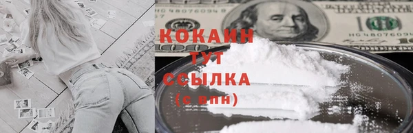 шишки Абдулино