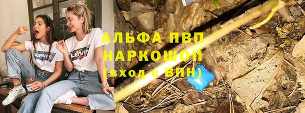 apvp Алзамай