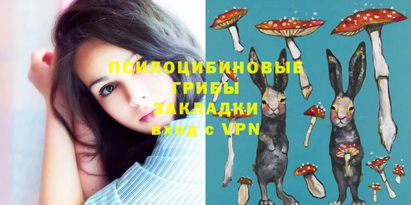 шишки Абдулино