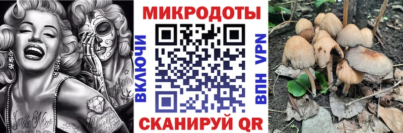 Псилоцибиновые грибы Magic Shrooms  Краснозаводск 